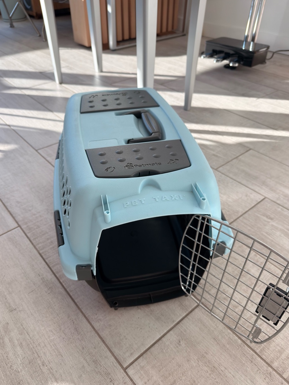 Pet Travel Carrier
